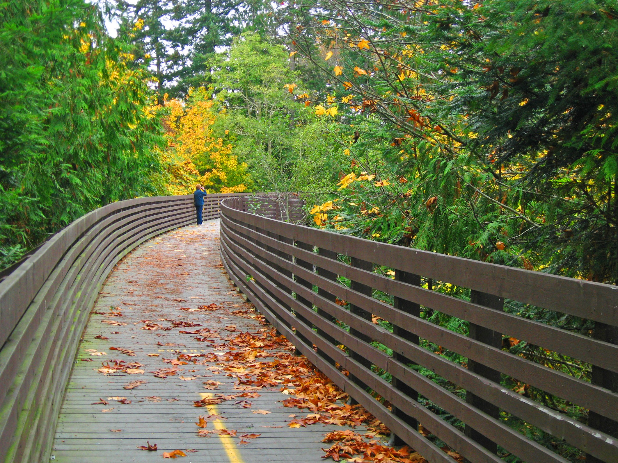 Olympic Discovery Trail east of Sequim copyright by Ross Hamilton