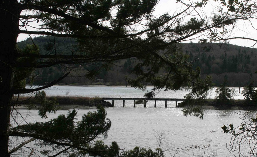 Discovery Bay trestle to be removed